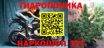 гидра Славянск-на-Кубани