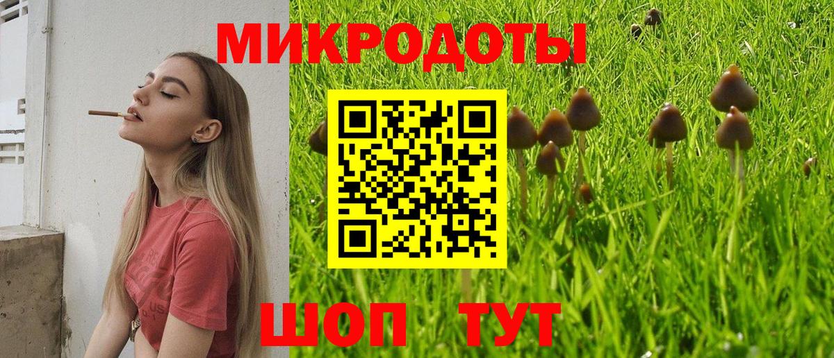 Псилоцибиновые грибы Magic Shrooms Рубцовск