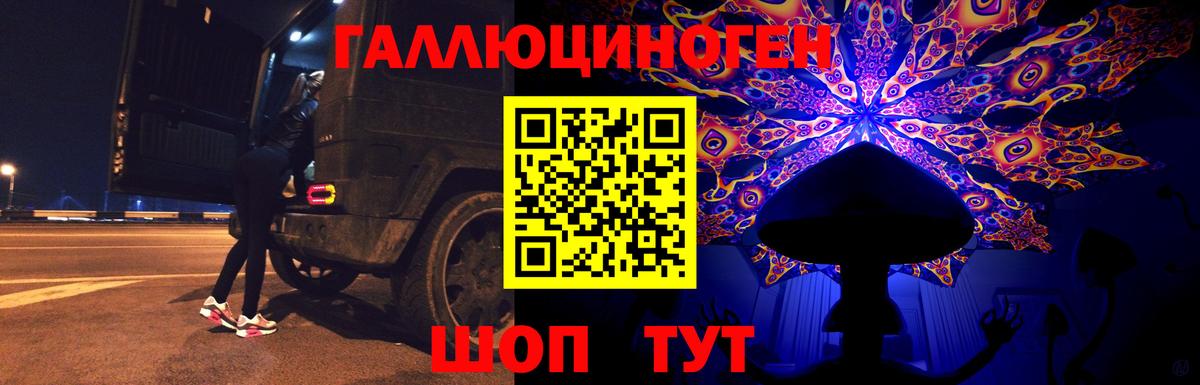 купить   Галлюциногенные грибы Magic Shrooms  Вход с VPN  Рубцовск 